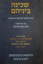 ברכון שכינה ביניהם