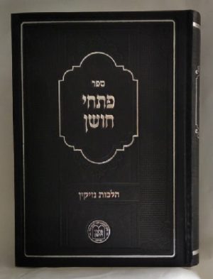 פתחי חושן - נזיקין