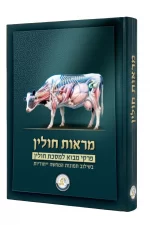 מראות חולין-פרקי מבוא למסכת חולין