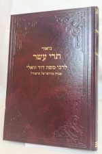 תרי עשר רבי דוד וואלי