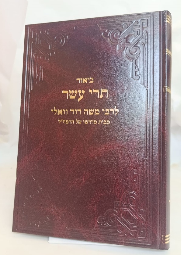 תרי עשר רבי דוד וואלי