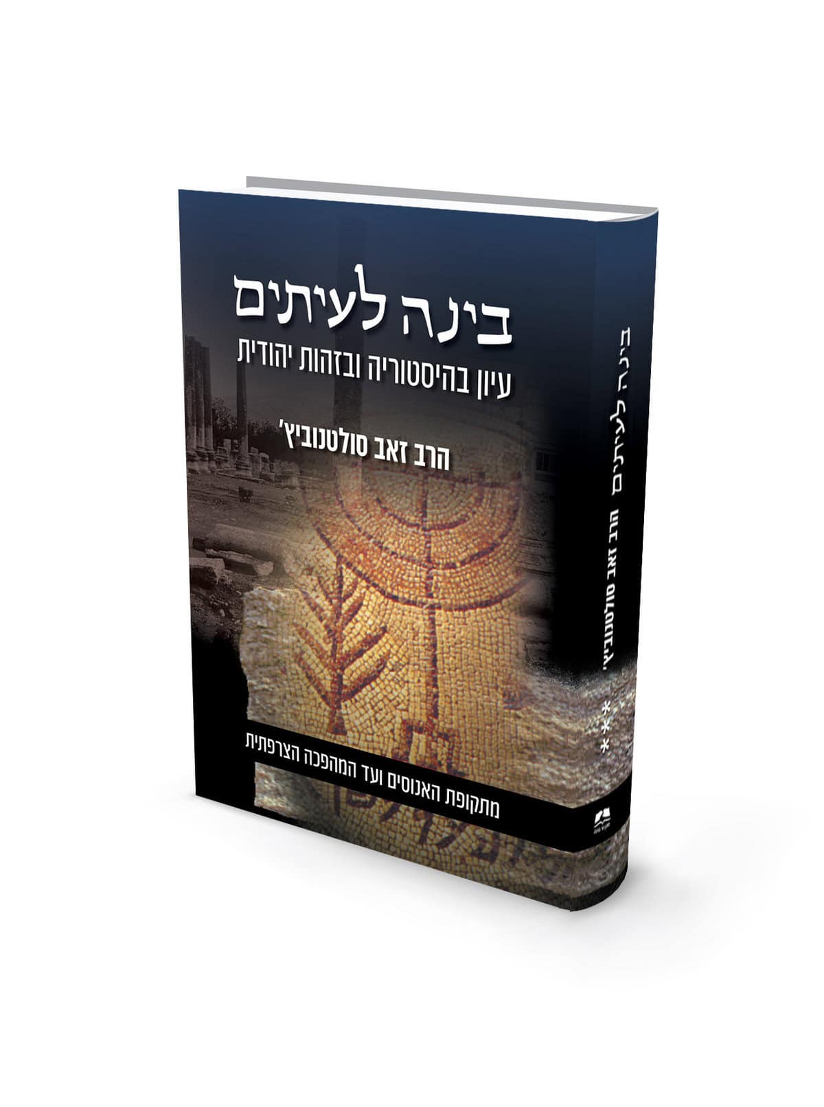 בינה לעיתים ג- הרב זאב סונטוללוביץ