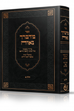 מדברך נווה -בירור משנתו של החפץ חיים