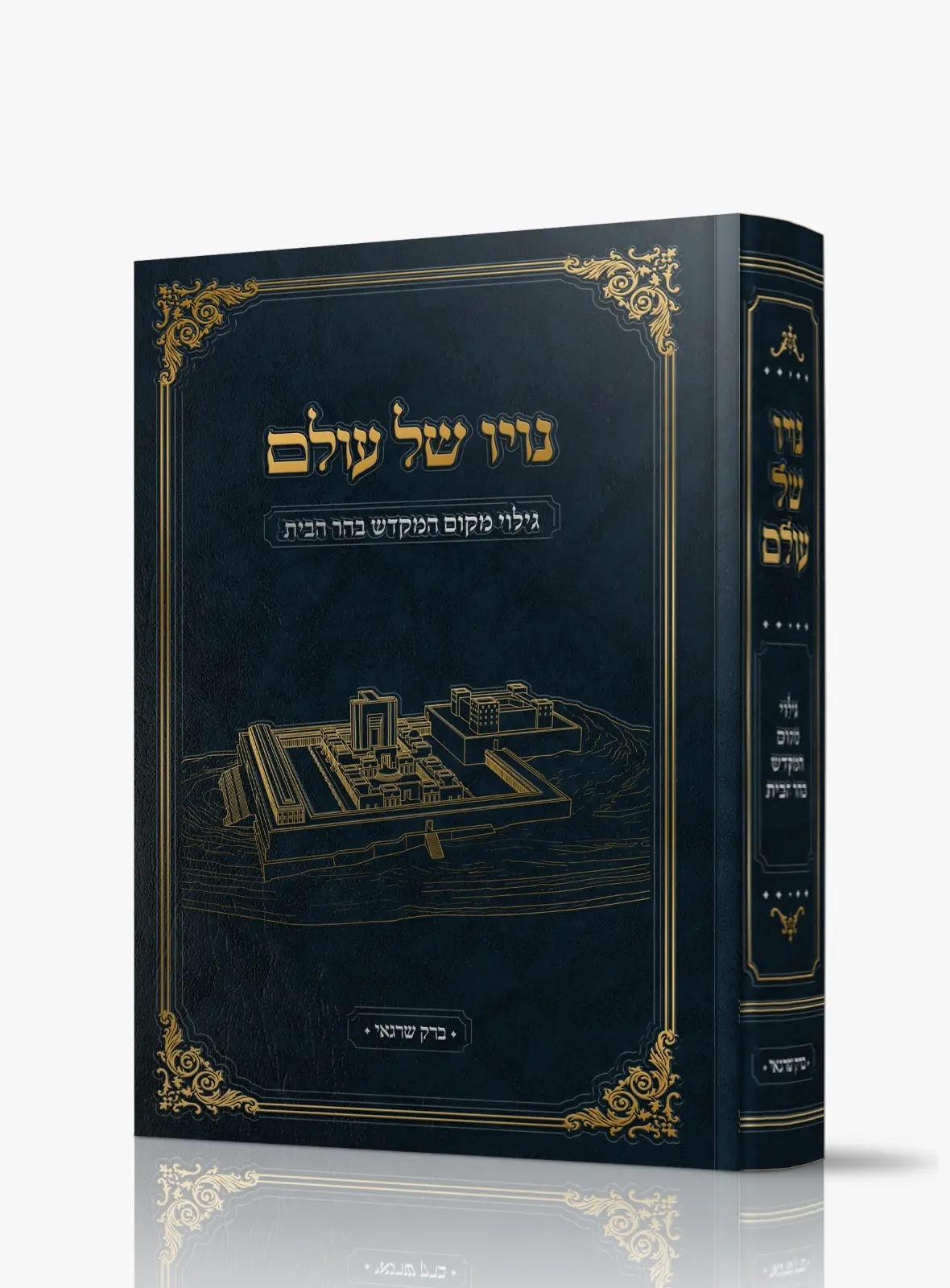 נוי של עולם ברוך שרגאי