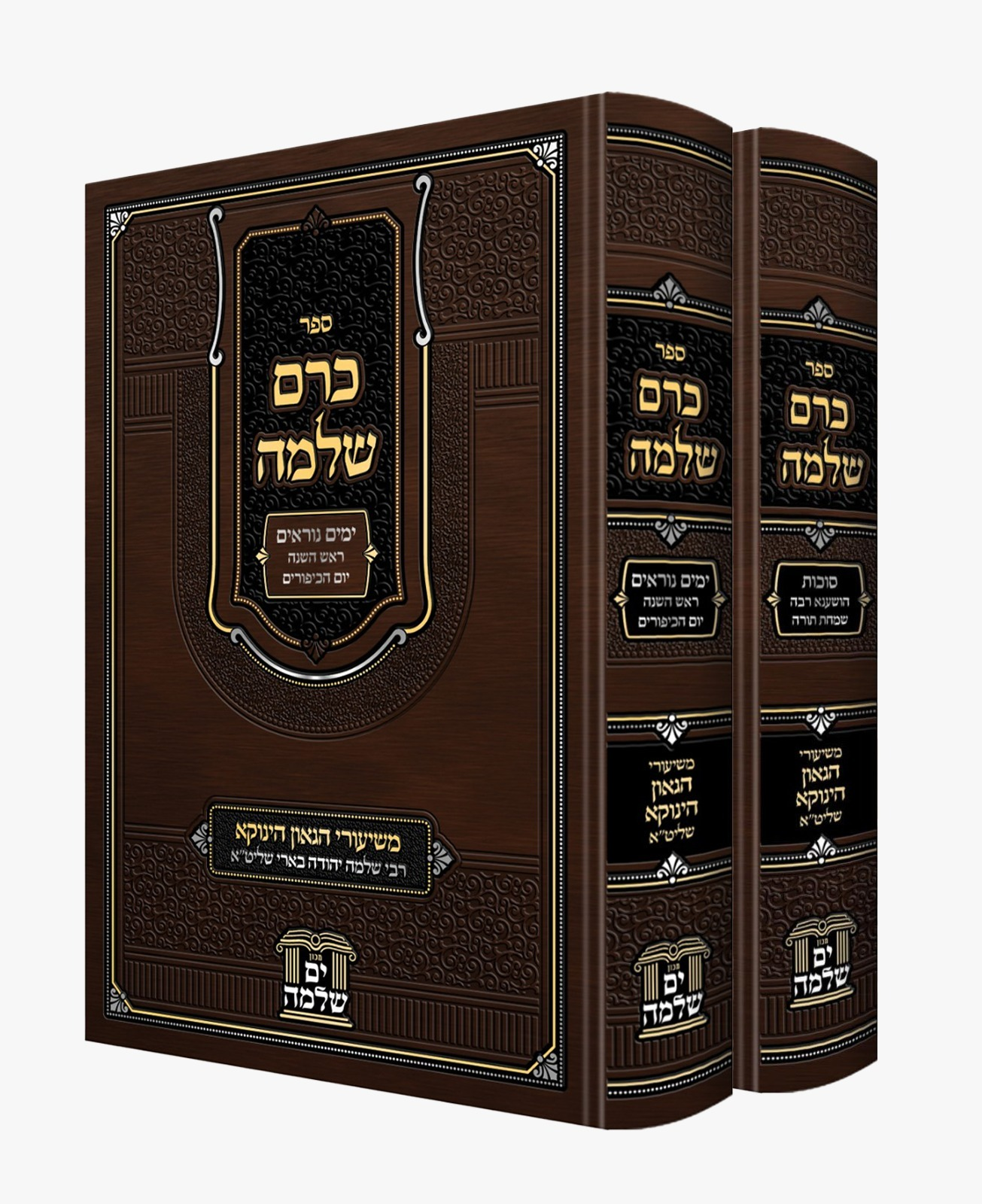 כרם שלמה ירח האיתנים -משיעורי הינוקא שליט"א