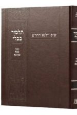 וילנא החדש בבא מציעא