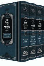 הדמיה קול שמחה לרבי בויינים מפשיסחא